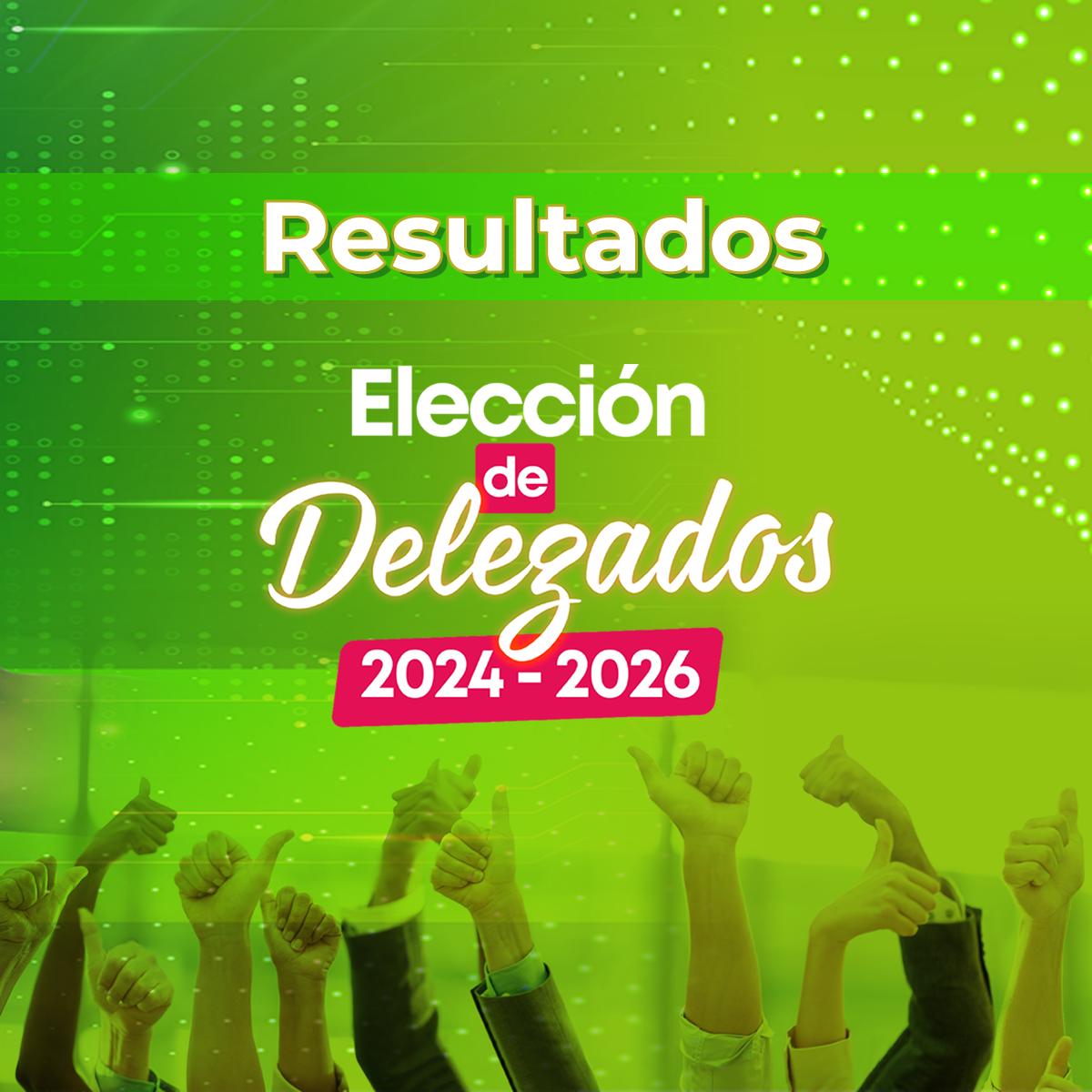 resultados_elecciones.png